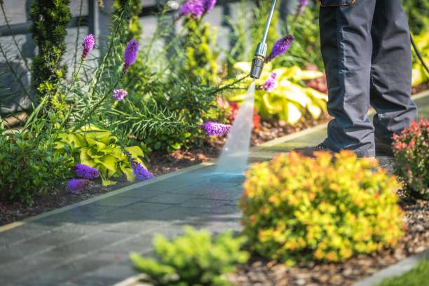 Professional Pressure Washing in Clifton Springs, NY